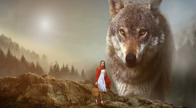 The Wolf’s Side of the Story