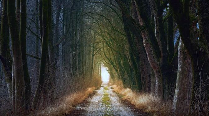 Nowhere to Run